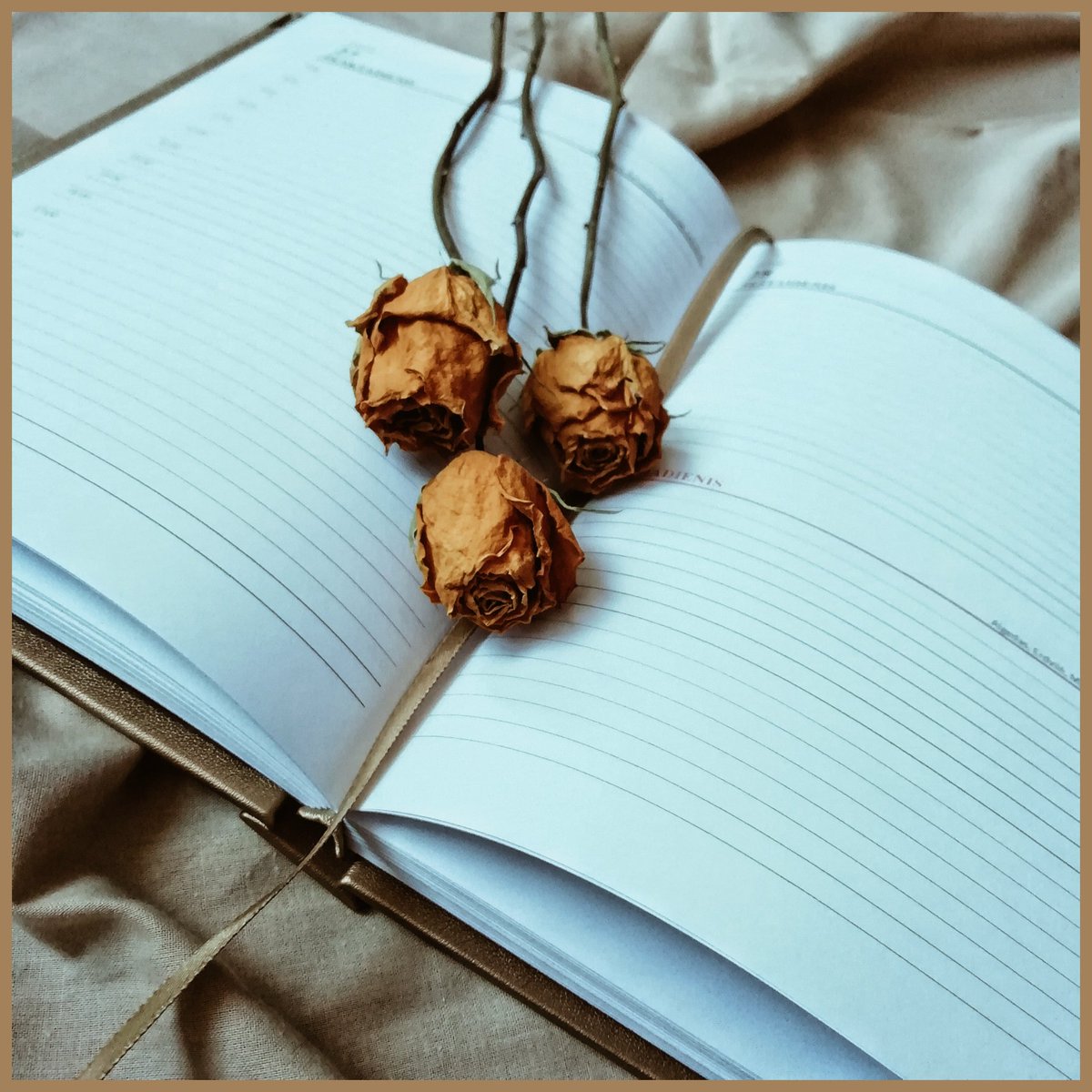 ViktorijaArts's tweet photo. [LT] 📖🌼 Rankų gamybos 2022 metų darbo kalendorius, kietas eko odos viršelis, dydis - A5

[ENG] 📖🌼 Handmade 2022 planner notebook, eco leather hardcover, size - A5 

#code_DAISY #ViktorijaArtist #art #artist #bookbinding #handmade #Lietuva #Lithuania https://t.co/K80dS5SGw1