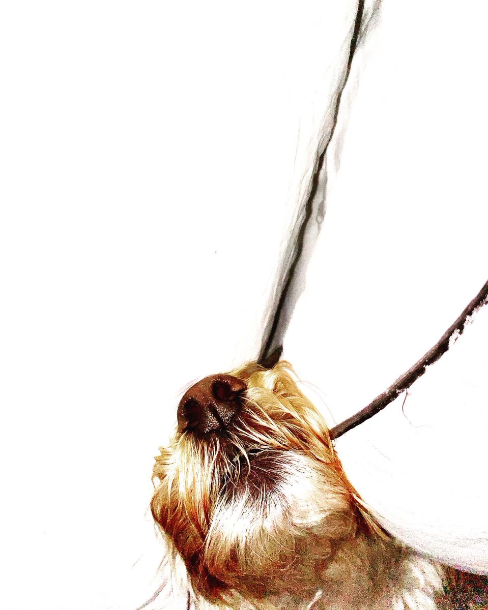 My first view this morning ❤️