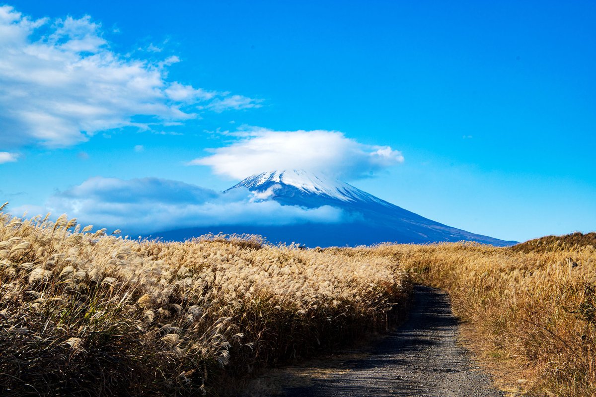 秋色の富士山