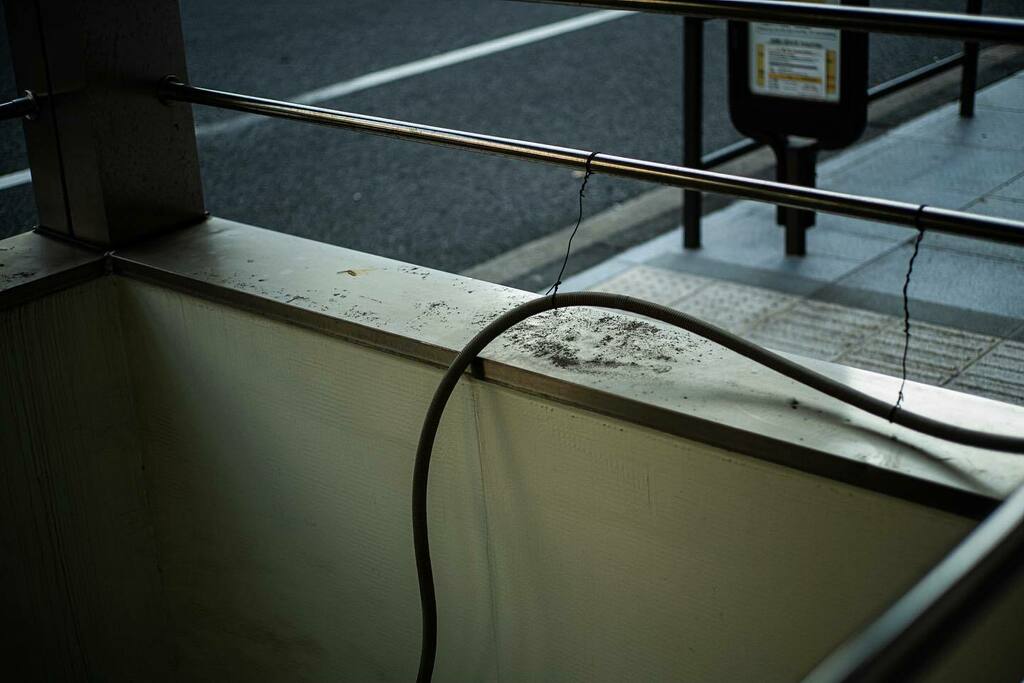 F_take_3's tweet photo. 2021.11.22. snap shot.
#leica #leicamp240 #leicaphotography #oldlens #summicron50mm #snapshot #streetsnap #snapshoot #tokyostreet #streetmoment #streetphotocolor #streetshot #streetphotocollective #streetphotographer #streetclassics #colorphotography #photooftheday #photod… https://t.co/Y8F603ZR75