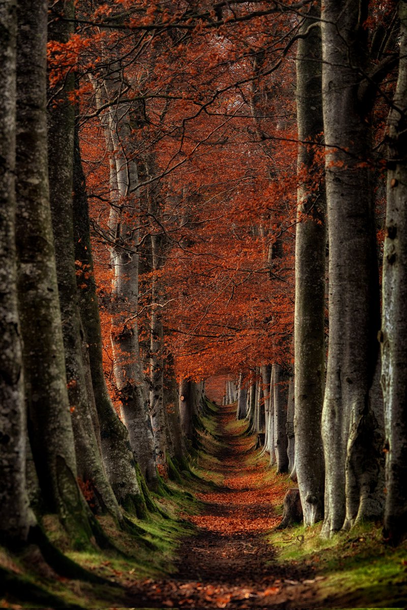 Stick to the path- an autumn shot from Aberdeenshire during a weekend work trip. #WexMondays #appicoftheweek #fsprintmonday #visitaberdeen #visitscotland