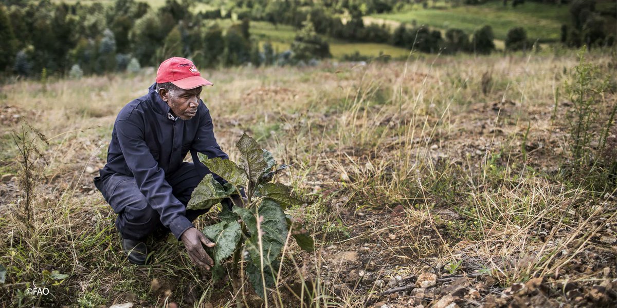 In the future, even more people will need humanitarian aid because of
🔸storms
🔸floods
🔸droughts
🔸conflict

It is time for the humanitarian system to change and focus on predicting crises before they unfold. 
 
<a href="/FAO/">Food and Agriculture Organization</a>'s work in #AnticipatoryAction  👉 bit.ly/3nGFu9T