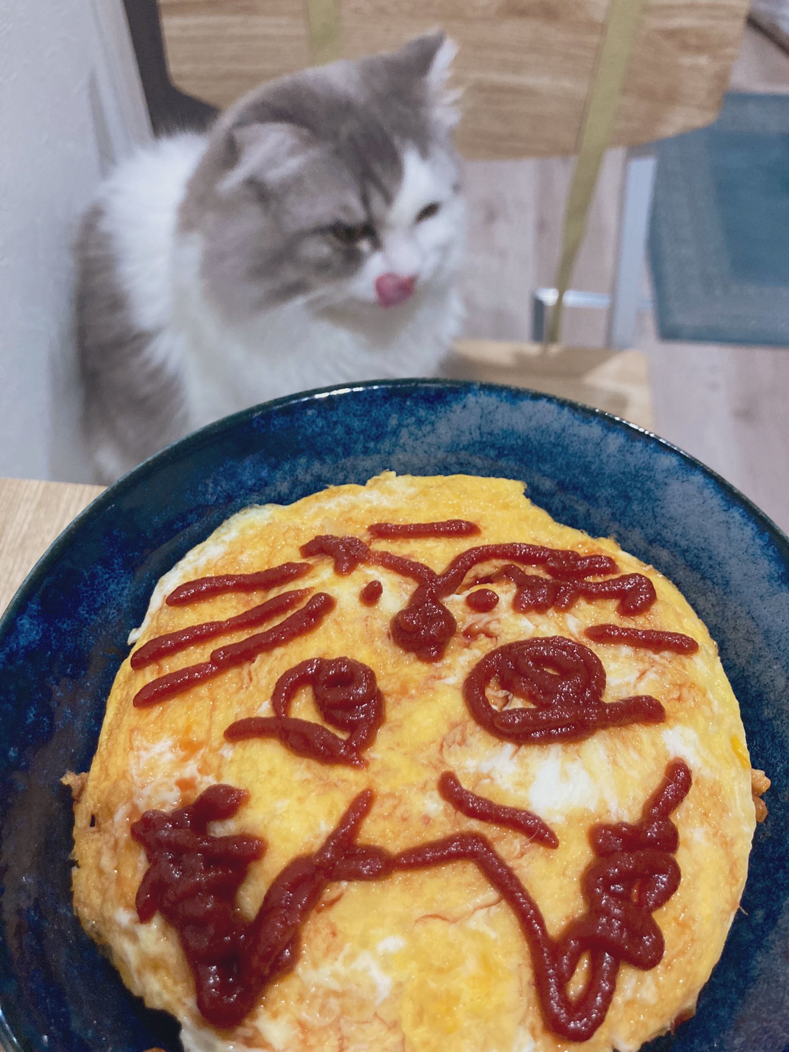 猫オムライス Twitter Search Twitter