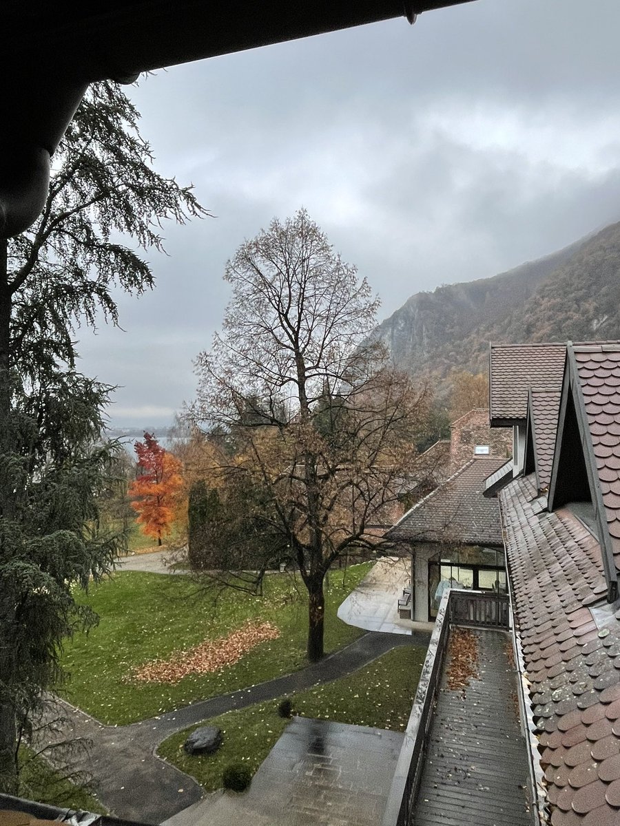 GeraldRaverot's tweet photo. Glad #Europit is back thanks @ESEndocrinology to support this in person course. Great to start the day running along #annecy’s lake before fantastic course by famous speakers @KorbonitsL @ChristCrain @HomeofFIPA @antoinetabarin #Pituitary #Endocrinology #Neurosurgery #pathology https://t.co/EODntidzPM