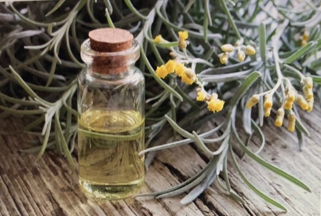 Helichrysum the latin name for the flowering plant “immortal” “everlasting.” An  exotic spicy scent for creative perfumers and the essential oil has helpful benefits in preventing infections as it contains anti-flammatory  properties to ease infection. https://t.co/is8xB7is2s