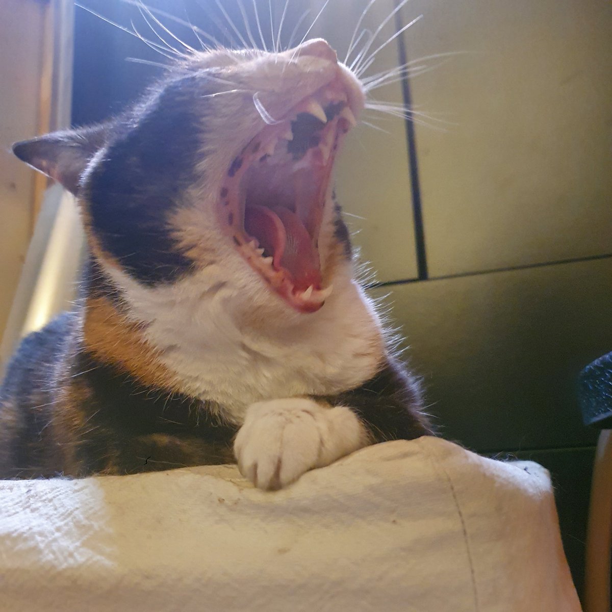 Voilà, tout est dit