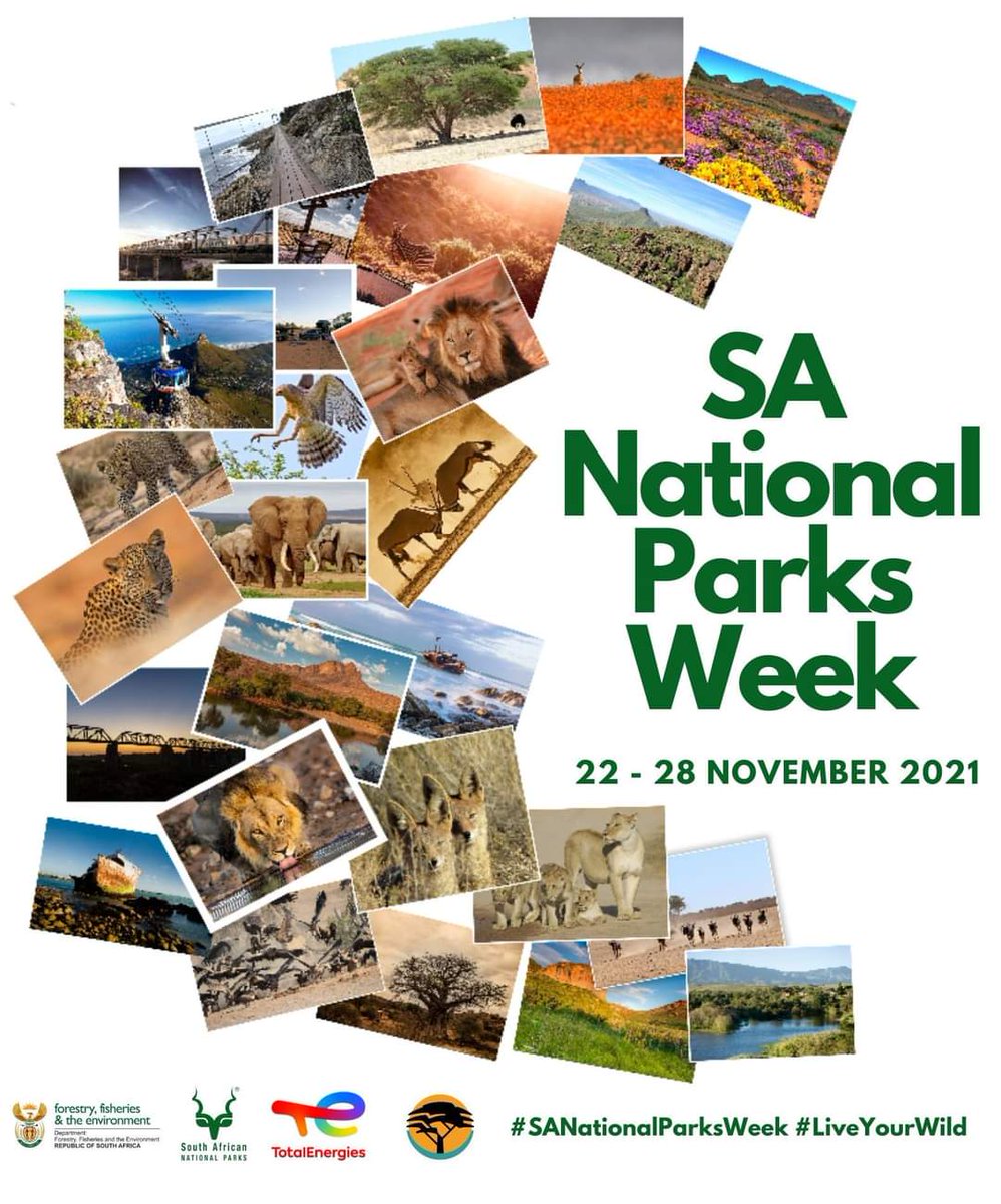 Tourism_gov_za's tweet image. Finally it is National Parks Week, 22-28 November 2021 😎👌🇿🇦

RT @NorthernCapeSA: Take advantage of the (free entry at any Northern Cape Parks). Go on a day visit with your family and explore the @SANParks in the Northern Cape during this coming week. #TourismRevovery