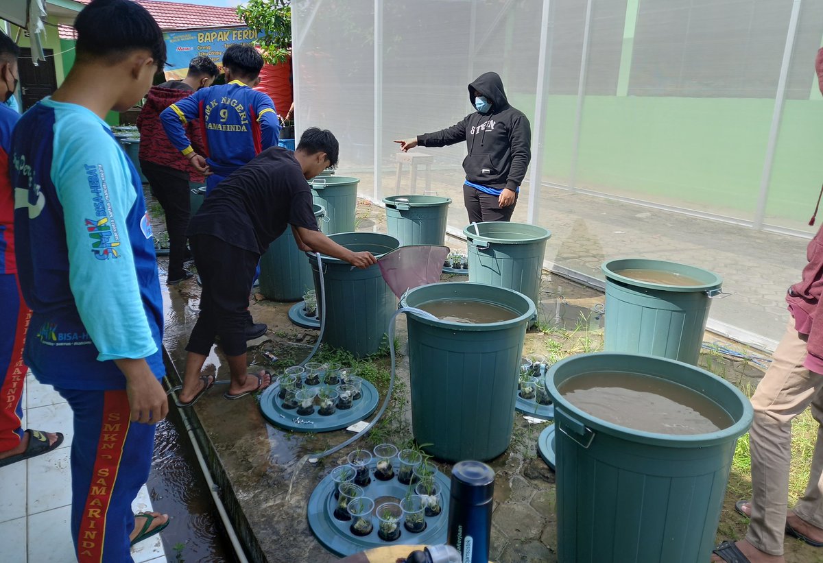 AM_Samarinda36's tweet photo. Senin (22/11), AM, Luhkan Bantu, di SMKN 9 Samarinda, Monitoring : Pengurasan air serta Pengukuran ikan hari ke-15 bersama guru &amp; siswa/i, Program Bansapras Budikdamber DJPB @kkpgoid yg di Fasilitasi Dinas Perikanan Kota Samarinda, #GiatLuhkanSatminkalTegal #Aktifitas #Samarinda https://t.co/dXR8n4mxys