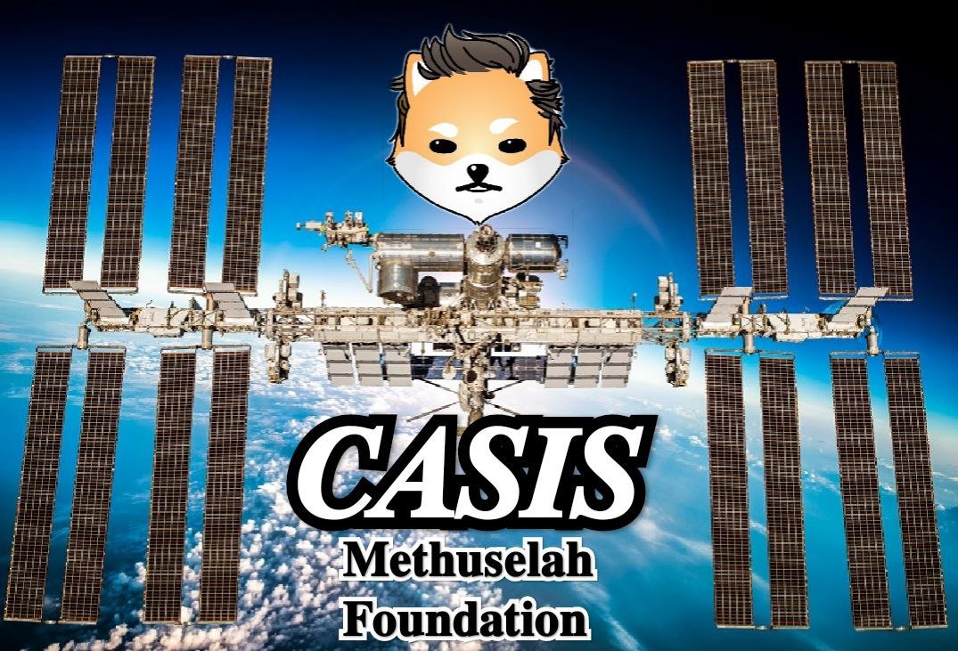 <a href="/cz_binance/">CZ 🔶 BNB</a> The best token you can list in your exchange is #DogElonMars, which is the $ELON token that will be talked about everywhere.
I am proud to announce this to you, it will be good for you to list it as well
#Elon  
#dogelon 
<a href="/ISS_CASIS/">ISS National Lab</a>