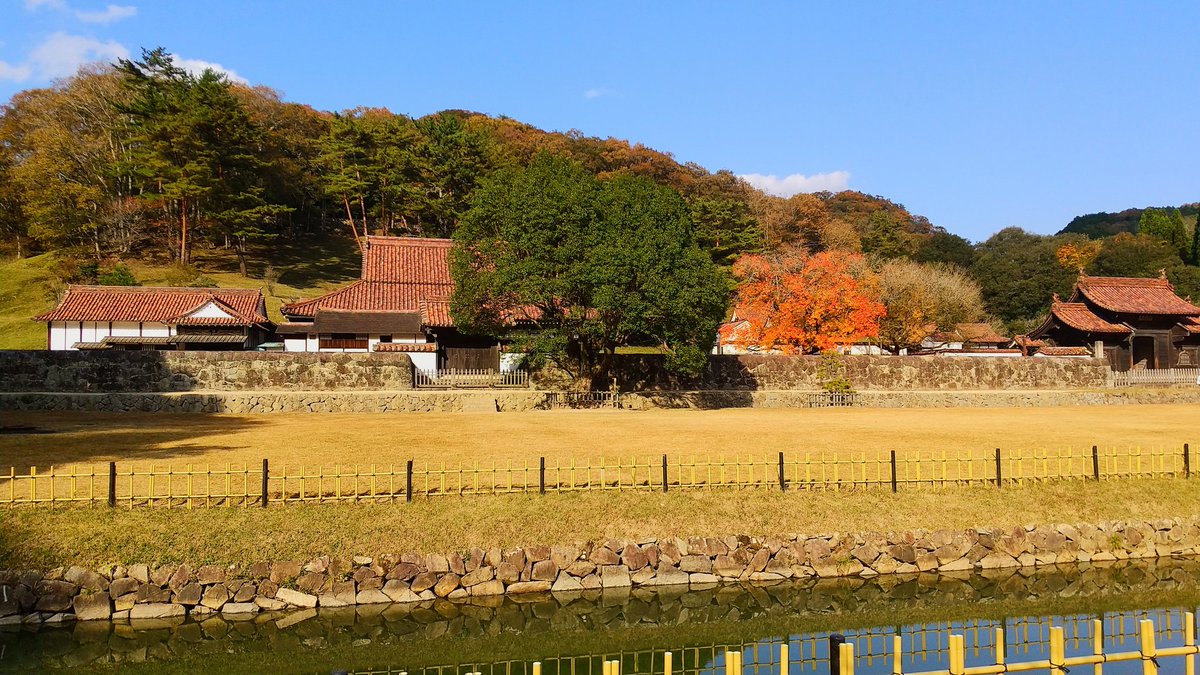 鬼滅の刃 どんぐり 最新情報まとめ みんなの評価 レビューが見れる ナウティスモーション