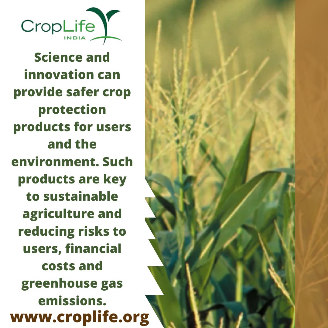 CropLifeIndia's tweet photo. Science and innovation can provide safer crop protection products for users and the environment. Such products are sustainable agriculture and reducing risks to users, greenhouse gas emissions. #croplifeinternational #croplifeasia #Dhanuka_agri #Syngenta #BASF #Bayer #PIINDLTD https://t.co/0HIV1bYEpu