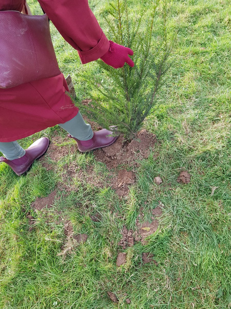 LajnaUK's tweet photo. Our dynamic Muslim women’s organisation @LajnaUK has pledged to plant 100,000 trees across the UK to commemorate our #100Years. To mark this, yesterday Lajna from Coventry planted 732 trees at #FloydsFields. 

#PlantATree #LajnaCentenary #ClimateAction https://t.co/ACHnPKEFbH