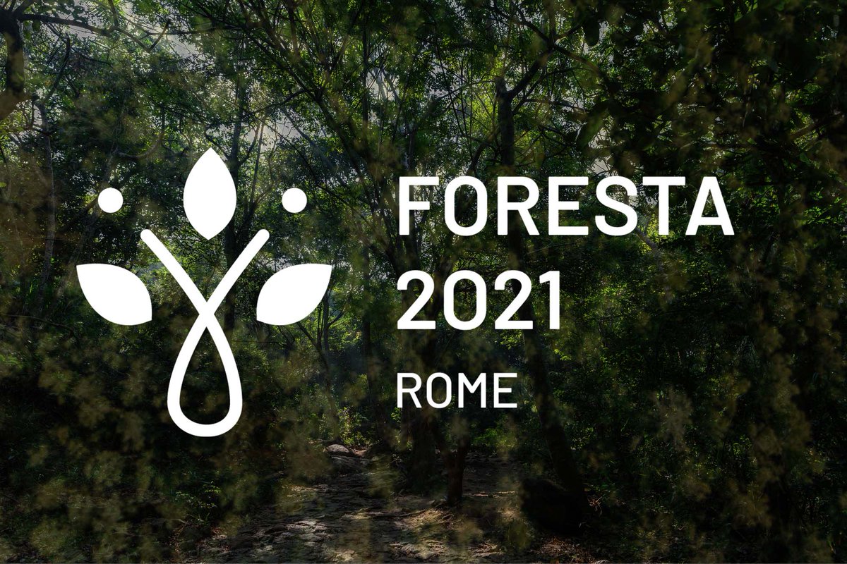 UNECE's tweet photo. Following #COP26 , the #EuropeanForestWeek presents innovative opportunities to support greater social, economic & climate #resilience in this @UN Decade of Ecosystem Restoration. Join the #FutureofForests panel webcast at 10.30 CET today: https://t.co/XRPjiFQMu9 ๐ณ https://t.co/dFeQeFodNV