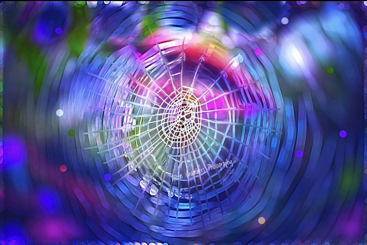 AlisonC24426188's tweet photo. Web of Dreams©️. https://t.co/fx1C53ltOy 15% off use code BLACK2021 & https://t.co/30JUpqNepQ & https://t.co/KdKjLoxndU & https://t.co/noUmgGPv76 #spidercore #spiderlove #spiderwebs #abstractwallart #abstractphotography #Abstract https://t.co/AFVEKje9HX