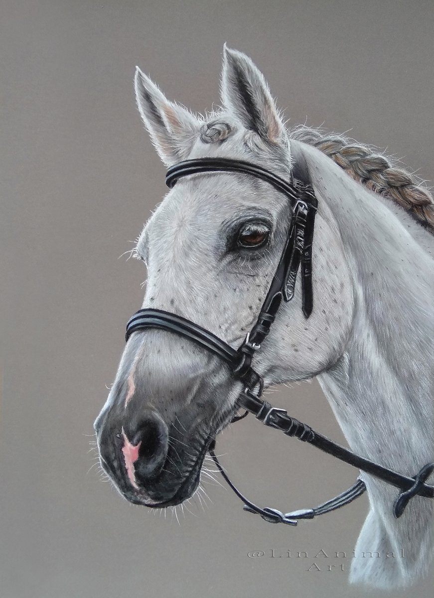 Grey Arabian 🐎🎨
Pastel pencils on Pastelmat paper.
#horseportrait #horselovers #horses #greyarabian #drawing #drawingoftheday #pastel #pasteldrawing #pencildrawing #pastelpencils #pastelartist