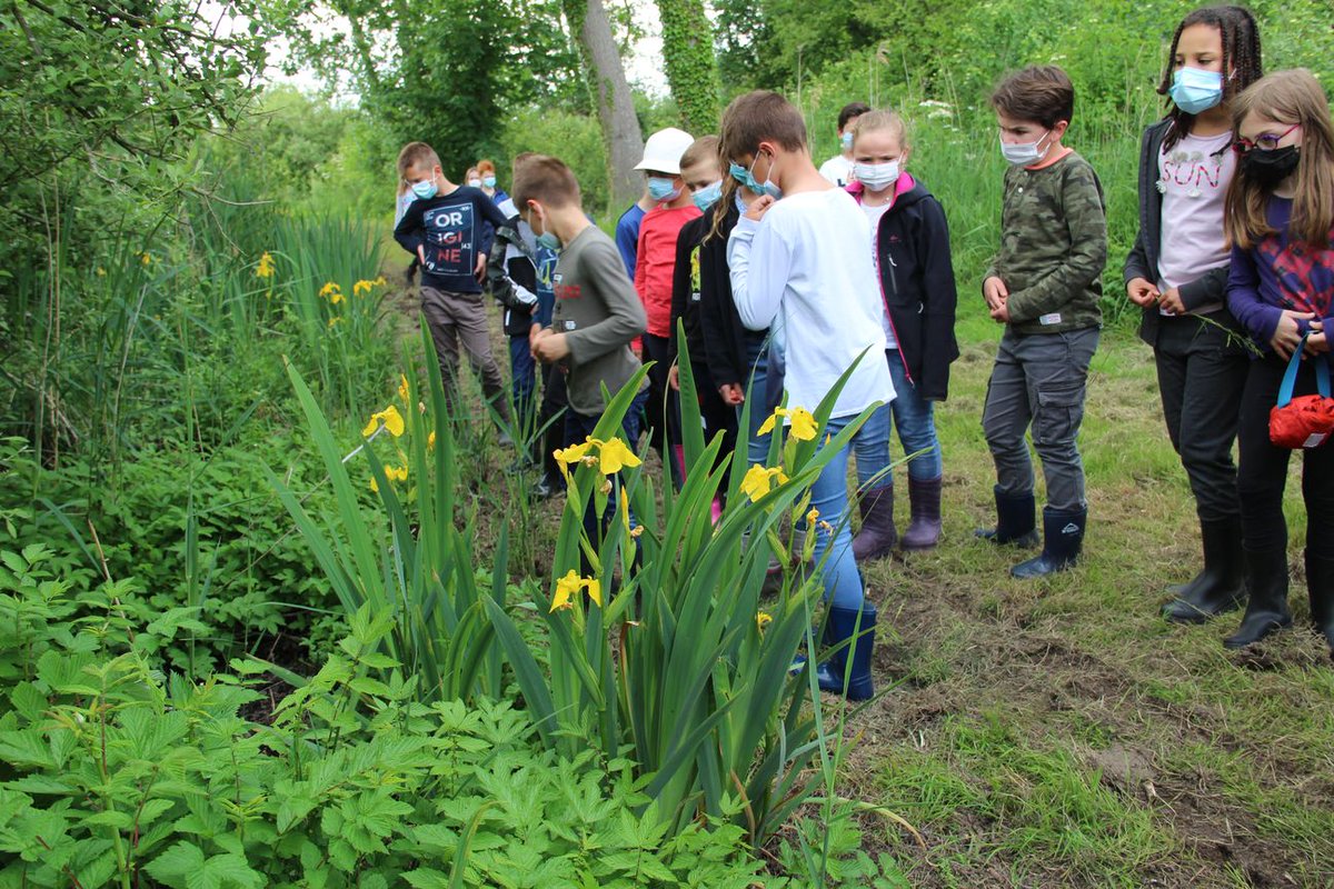Val-de-Vesle (922 hab, Marne) élu "Meilleur village pour la #Biodiversité 2021" pour son travail de préservation du Marais de Courmelois et son Aire Terrestre Educative. Avec le CEN Champagne-Ardenne et de nombreux partenaires.
capitale-biodiversite.fr