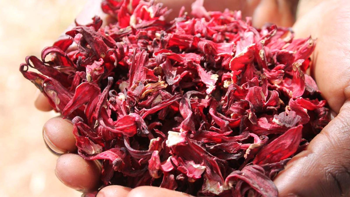 Read our latest blog post - 'The Homestead Spa: Featuring Locally Produced African Products from Terres d'Afrique' - homesteadlodge.com/blog/the-homes…
<a href="/TdAfrique/">Terres d'Afrique</a> 
#visithomestead #thehomestead #terresdafrique #luxurytravel #luxurysafari #africansafari #southafrica #nambiti