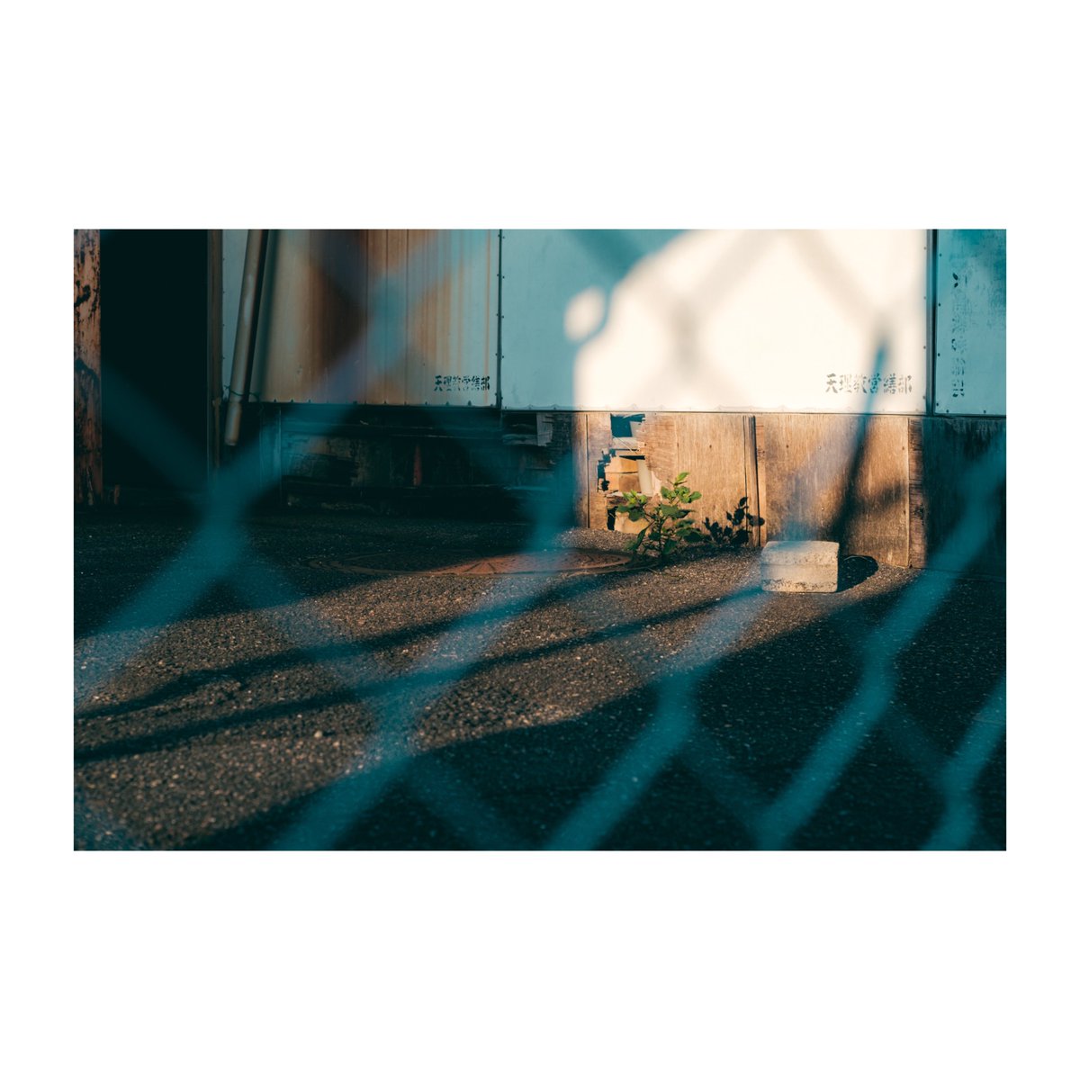 影に魅せられて。
#yousawscenes #photo #photography