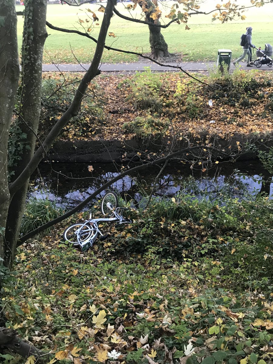 CartlidgeSimon's tweet photo. Hi ⁦@nextbikeUK⁩ … I spotted one of your bikes abandoned on the Ty Draw road side of Roath Rec in Cardiff this morning. Perhaps you could rescue it and give it some TLC. https://t.co/P39Bjm8V3h