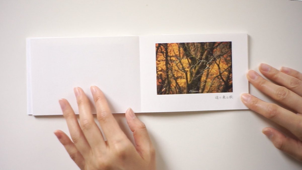 NCAD_Niigata's tweet photo. youtubeにて全ページ動画を公開中

https://t.co/nk76Nv1h9X

#photo #zine #写真集 https://t.co/1bHrcKLSDK