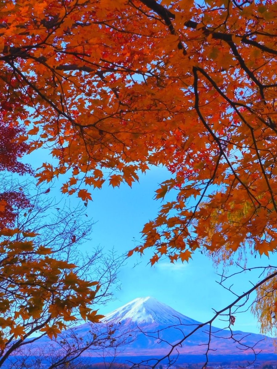今日も1日お疲れさまでした😀 富士山と紅葉🗻🍁