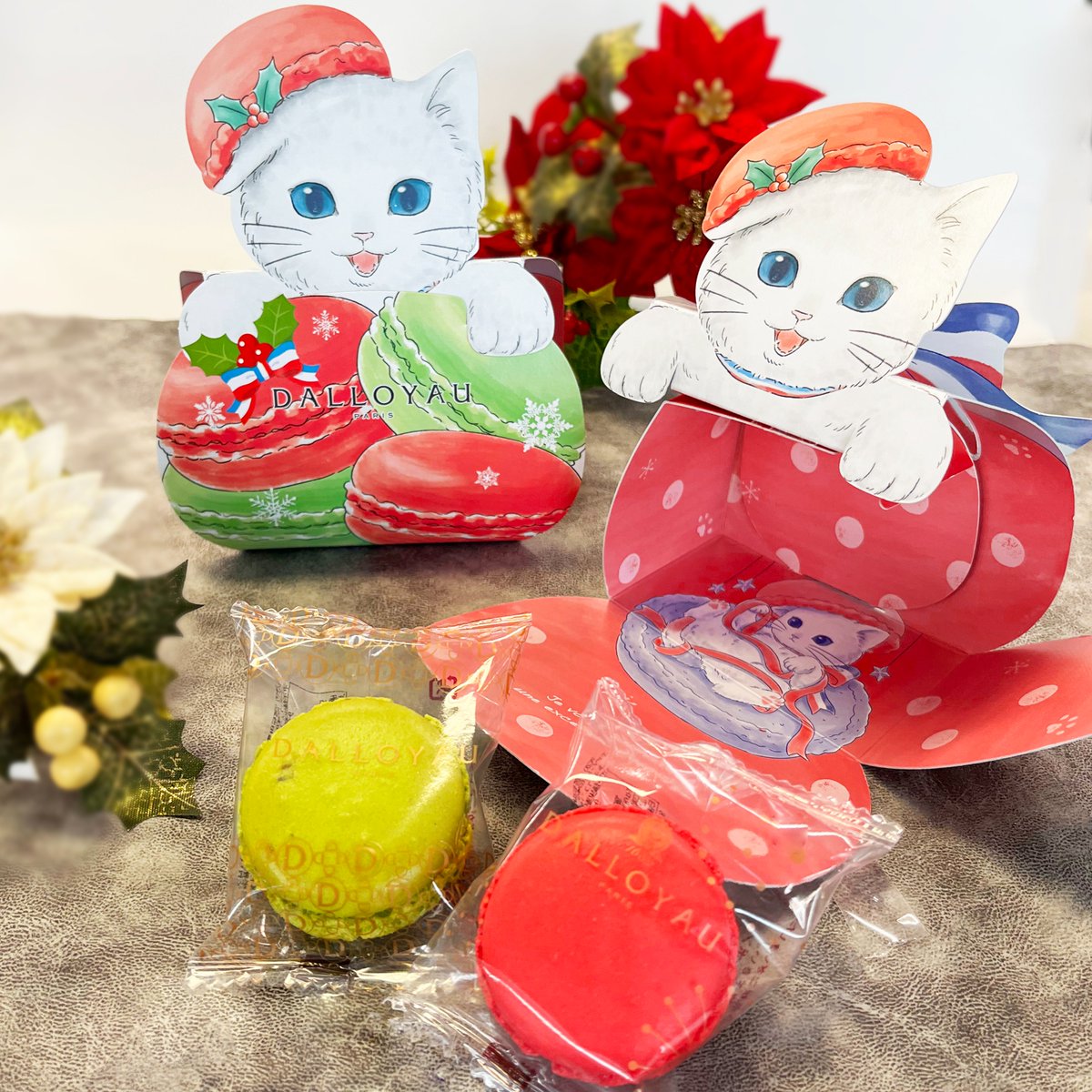 猫型ニャカロン」ノエル限定BOX登場！ マカロン2個入りでプチギフト