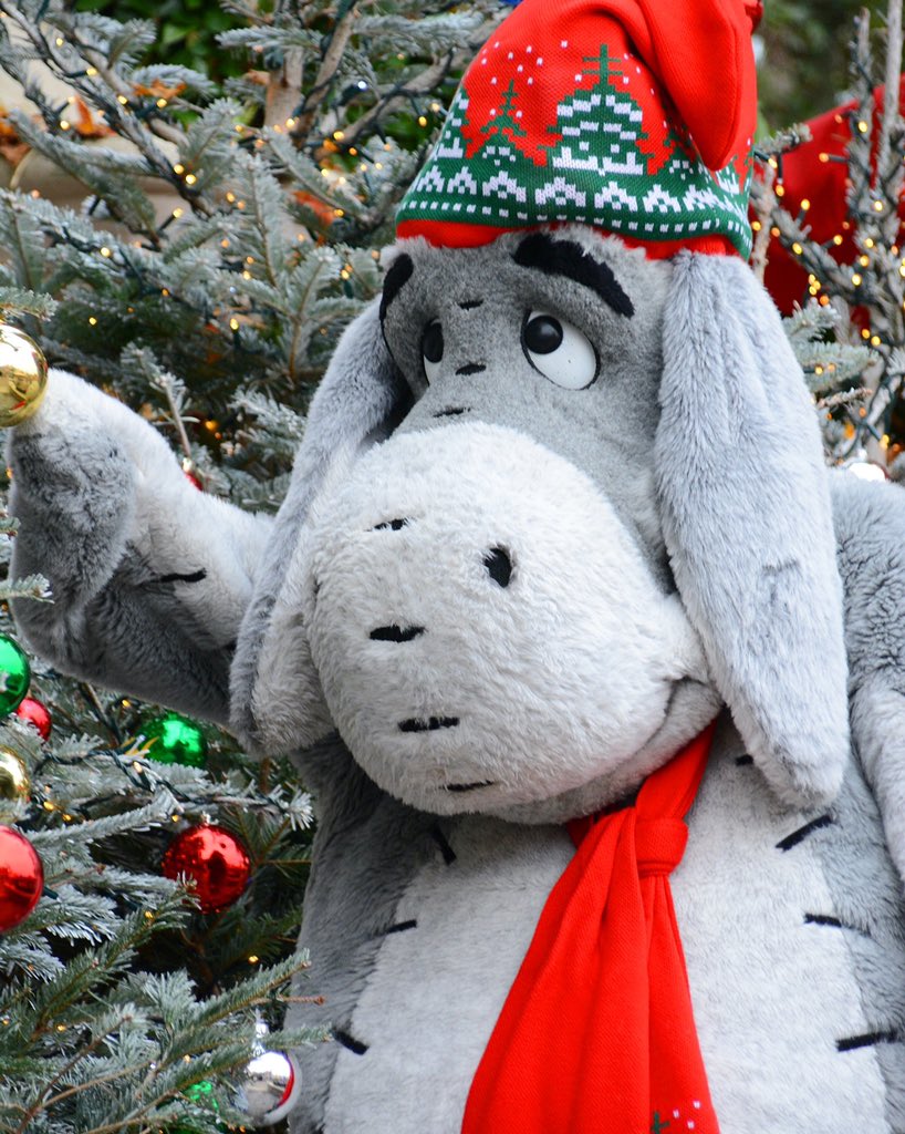 Cave0fWonders's tweet photo. ✨ Qu’il les aime ses décorations de Noël Bourriquet 🧣💚 ✨

#disneyparks #disneylandparis #disneyXmas https://t.co/vyshKcIqXp