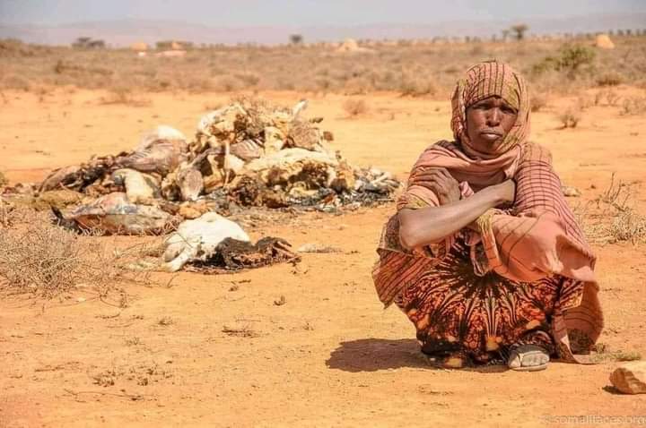 Kevin Mtai tweet media