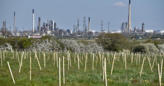 We planted more than 81,000 trees across Cheshire and Merseyside in the last year 🌳We are now in a new planting season.

Landowners/farmers who'd like to plant trees please contact The Mersey Forest team by calling: 01925 816217 or emailing: mail@merseyforest.org.uk