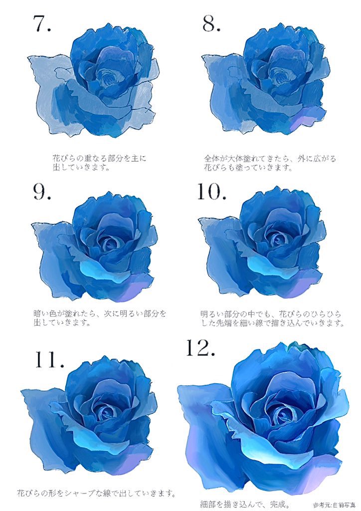 تويتر 𝓨𝓪𝓼 青ヰ 鱗 على تويتر 薔薇の描き方 T Co Oyn1xhfdxm