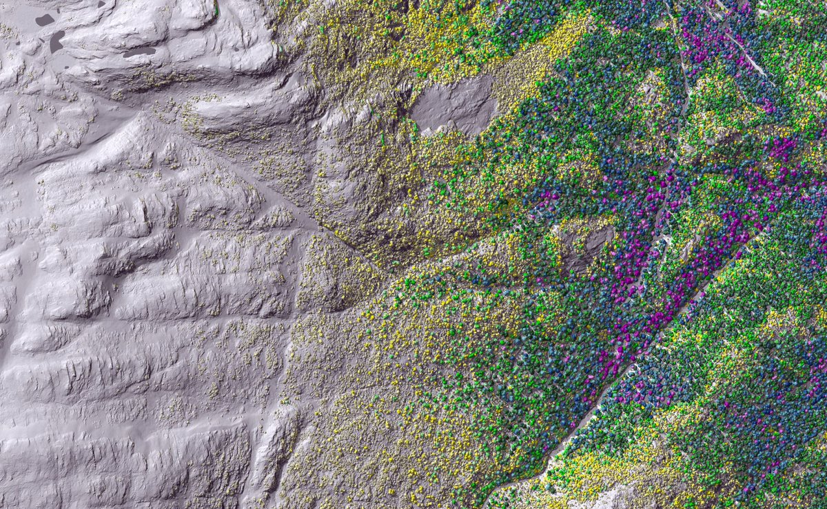 luchobt's tweet photo. #Day22 of #30DayMapChallenge: Natural #Boundary at which trees are capable of growing (tree line). Many studies found evidence of tree lines moving to higher elevations and higher latitudes. @MapsNorway @BlomNorway #BlomFORESTVIEW https://t.co/eULq5mVwHu