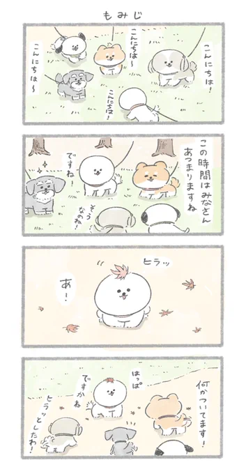 紅葉とおいぬ
#こんにちはいぬです 