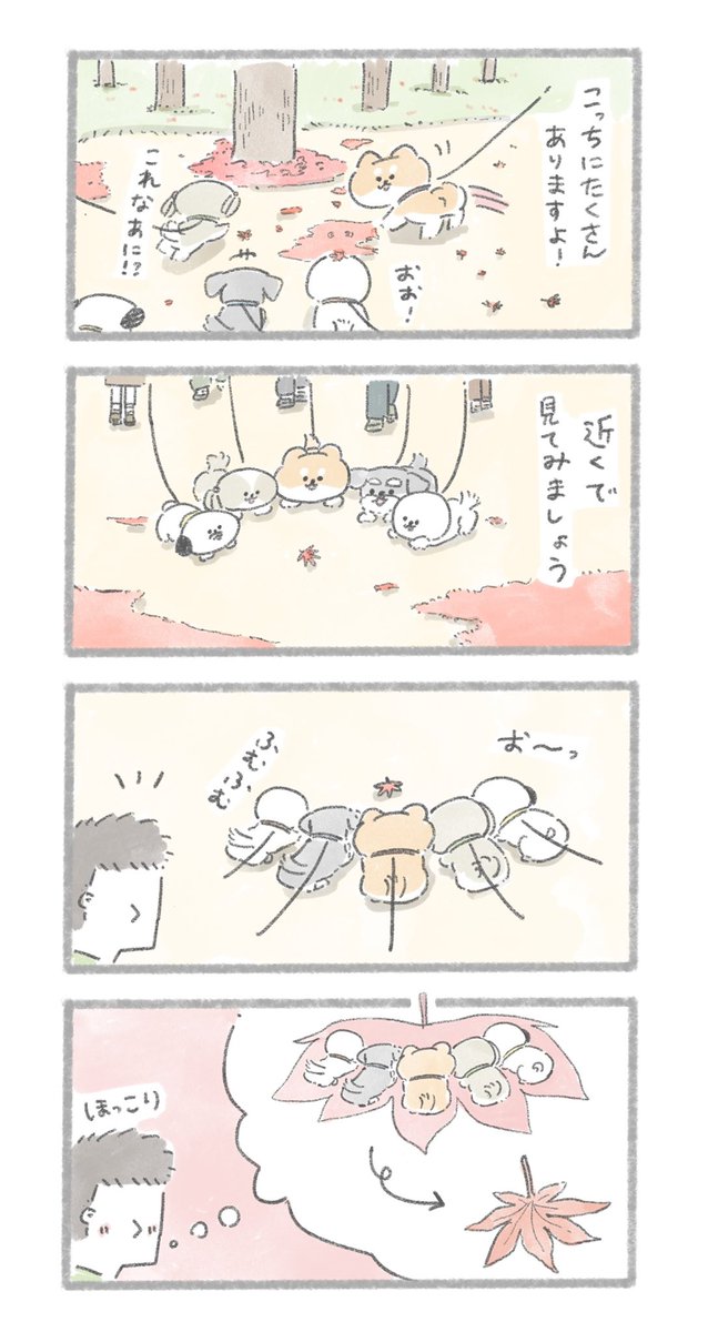 紅葉とおいぬ
#こんにちはいぬです 