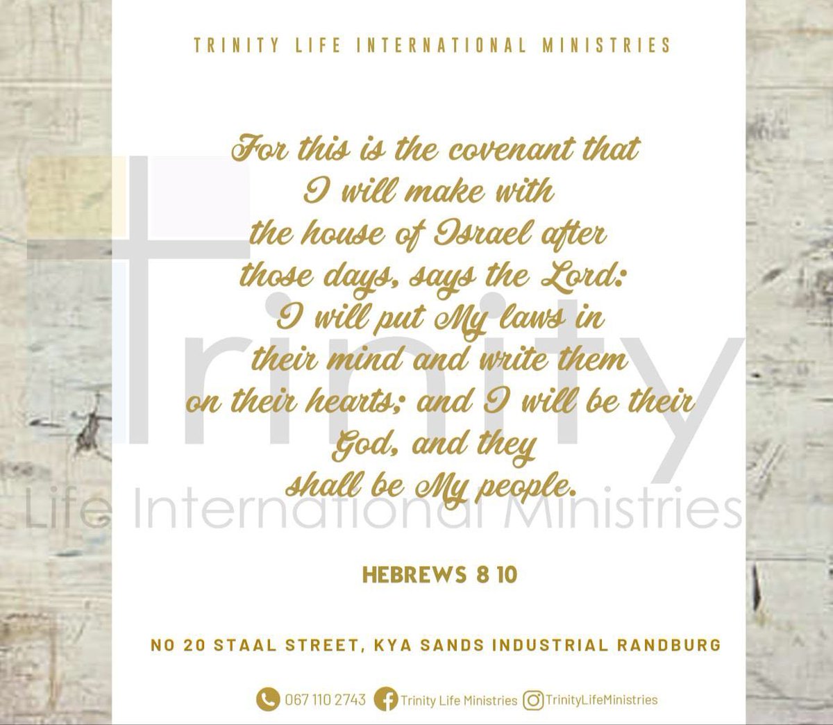 TrinityLifeInt's tweet photo. Have a beautiful Monday😇. Jesus loves you ♥️🙌🏾
:
:
:
#mondaymotivation #jesuschrist #blessed #godisgood #instagram #trinitylifeministries #scripture #today https://t.co/7ItSnb0RL2