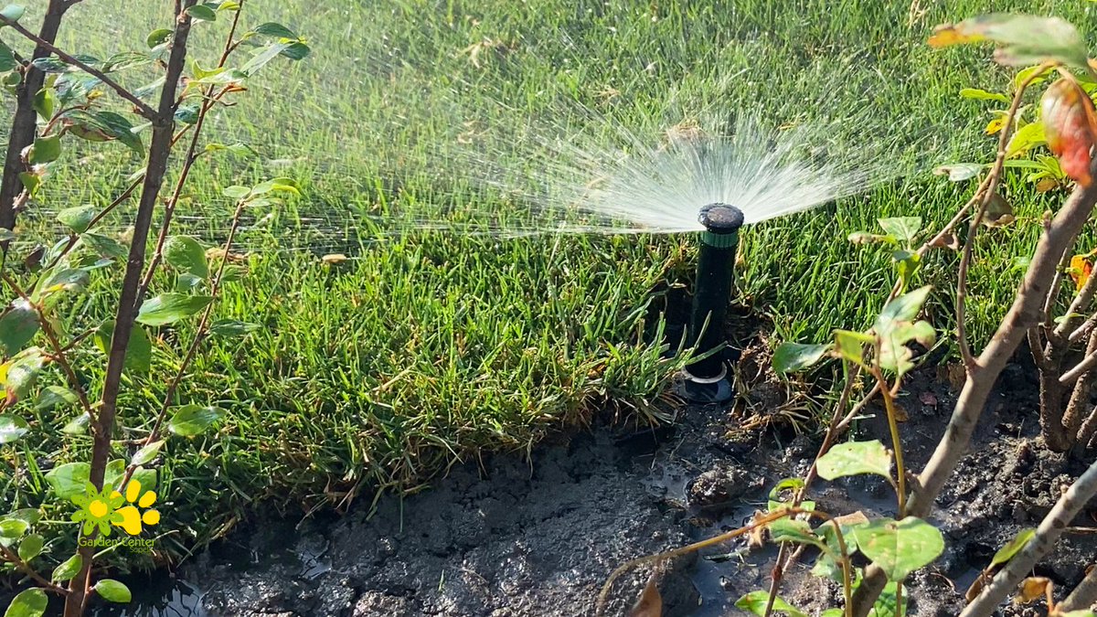 mvgarden's tweet photo. Aunque en invierno no disfrutemos tanto de nuestro césped y jardín ¡sigue estando ahí! 🌱
Por lo que, sigue necesitando, y más en esta temporada de heladas, más cuidados que nunca. ❄ 
Déjalo un poco alto, para protegerlo de las heladas, y no lo riegues demasiado. 💦
#jardinarium https://t.co/NLEWByxl4L