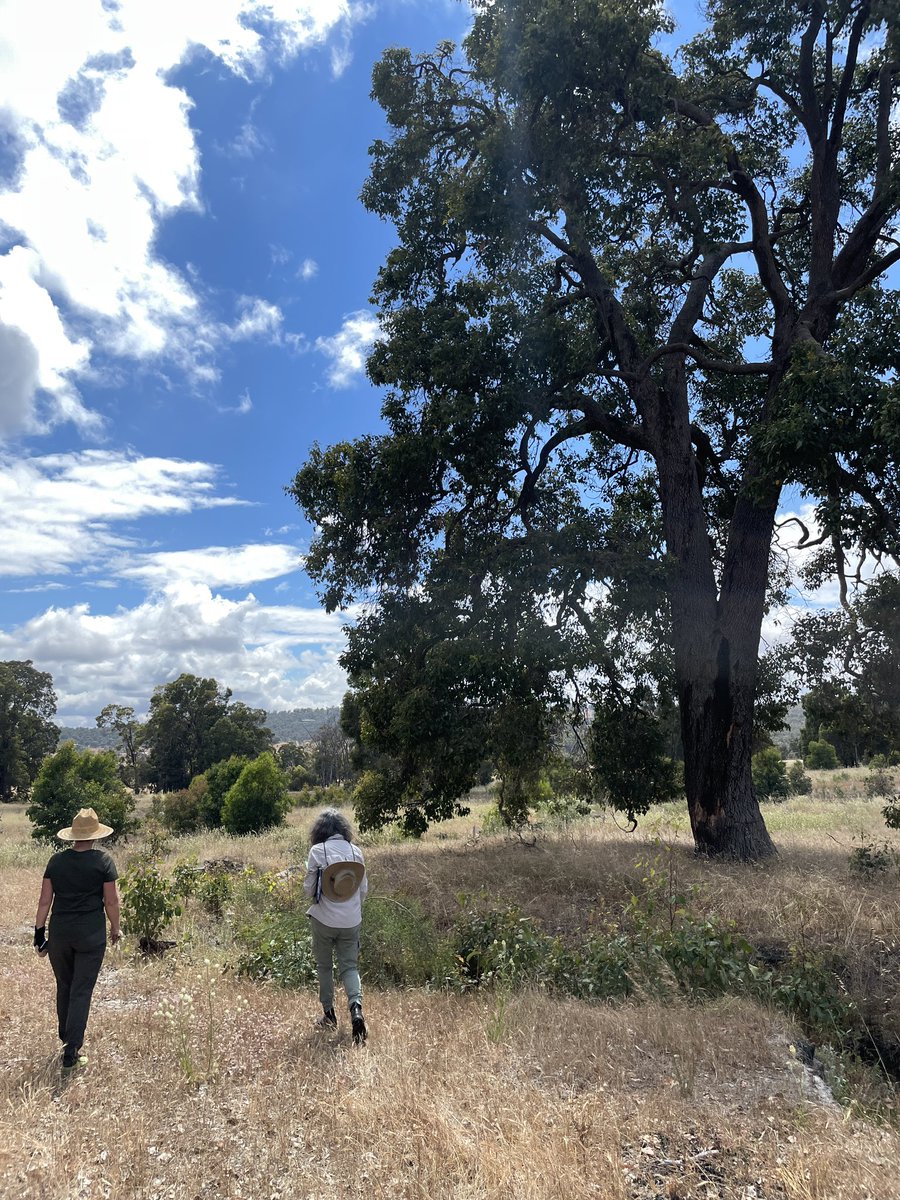 Megan LeRoy tweet media