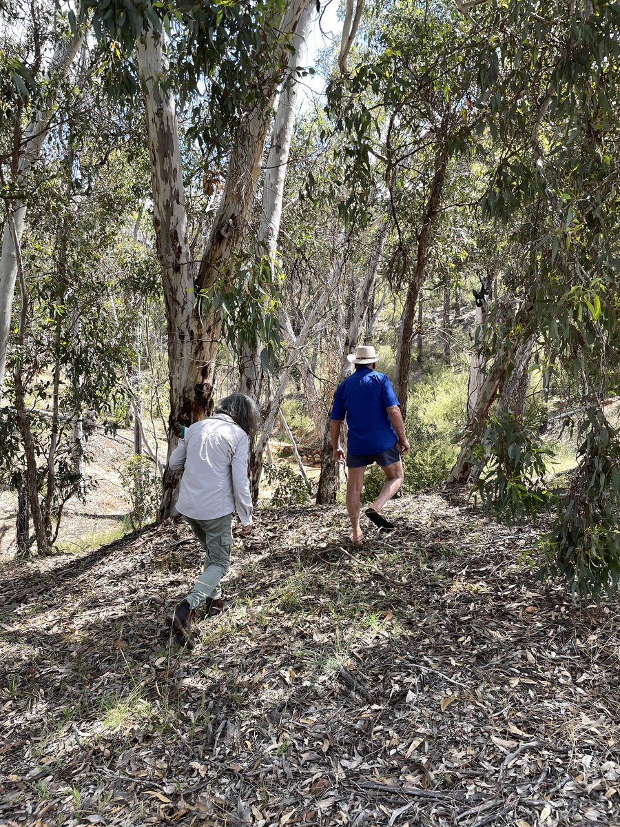 Megan LeRoy tweet media