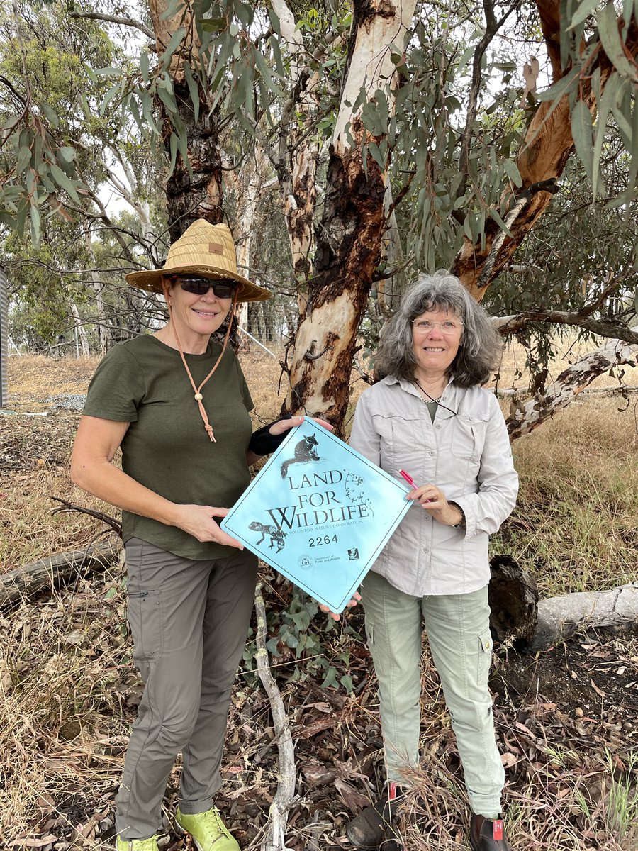 Megan LeRoy tweet media