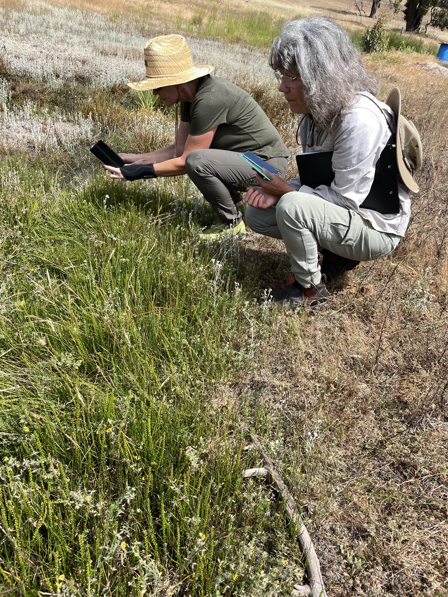 Megan LeRoy tweet media