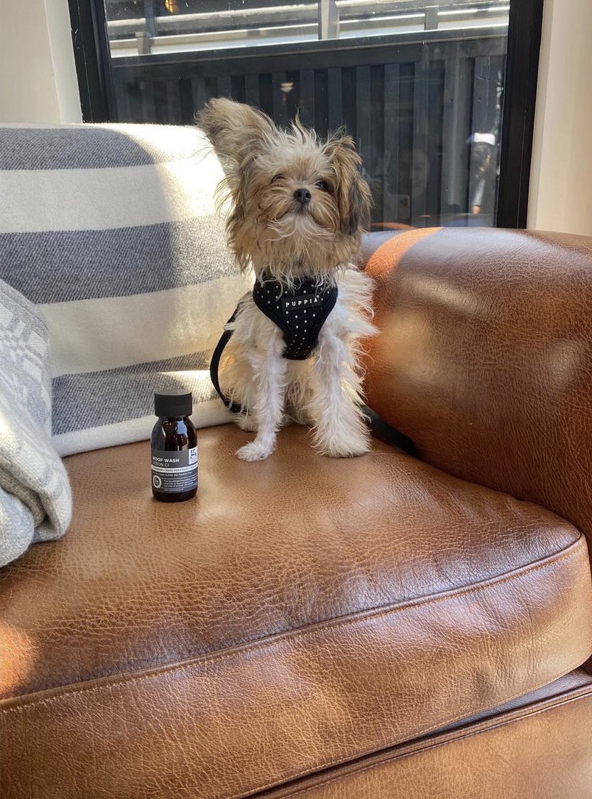 TheGoodwashCo's tweet photo. Treat your four legged bestie to a Goodwash Gift Box. A personalised message tag in signature wrapping around an abundance of cruelty free, natural goodness for you and your dog #ŵŵff #DoligDa https://t.co/lSnW3TkpTs https://t.co/60EgqoqPGp