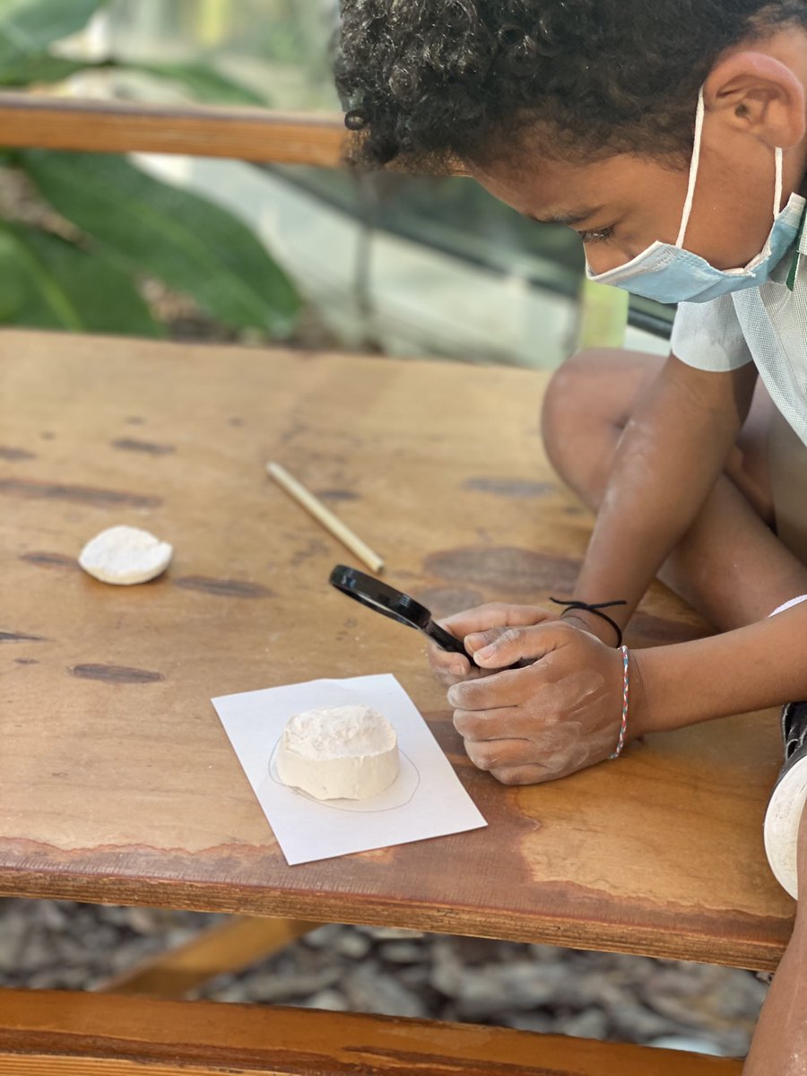ArborEnviro's tweet photo. Today @ArborYear3 became time detectives today and were unveiling their plant fossils 🍃🪨... Did you know that leaves are the most common part of a plant to become fossilised? 💭 #Ecoliteracy #ArborBiopark #ProjectBasedLearning https://t.co/7Dt0yT5qVj