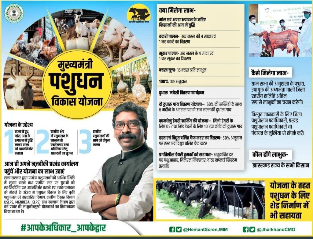 DC Hazaribag tweet media