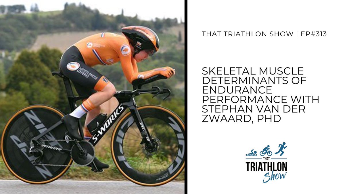 Skeletal muscle determinants of endurance performance with Stephan van der Zwaard, PhD | EP#313
scientifictriathlon.com/tts313/