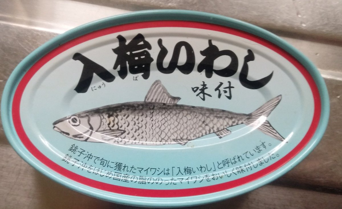 昼食はイワシの味付け缶詰を入れた白粥(レトルト)、夕食は玉子スープと豆腐を入れたオートミール雑炊でした。温かい食事はありがたいです。