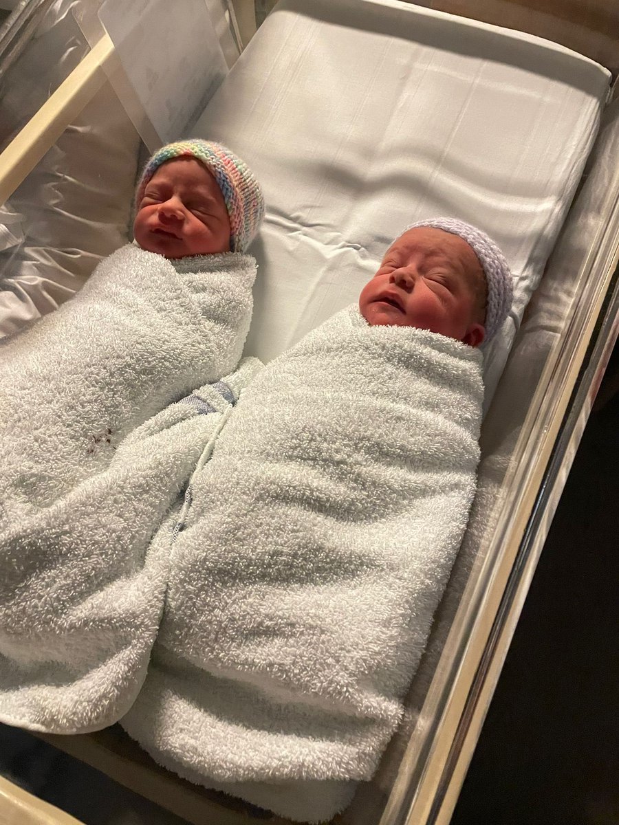 Sarah Johnson (was Dove) tweet media