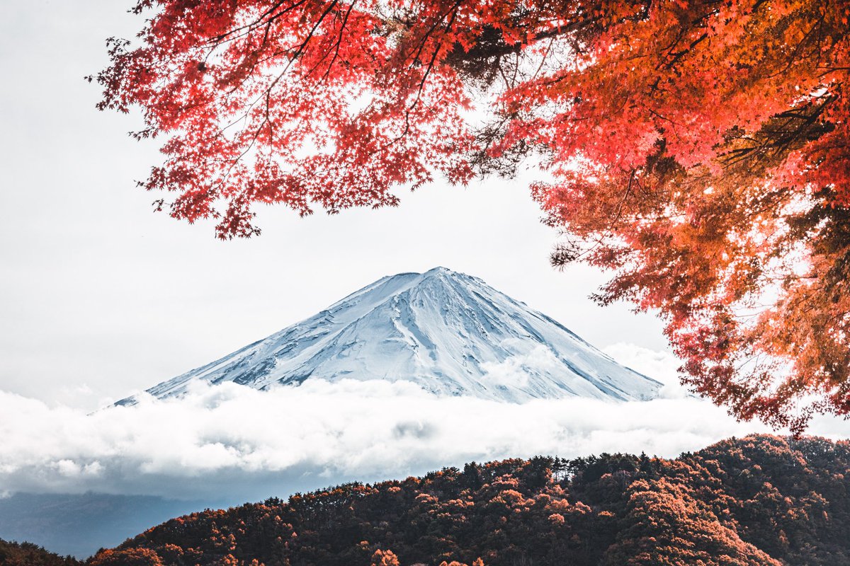 NaotoTAKAHASH11's tweet photo. Seasons https://t.co/49Vvkp2cqp