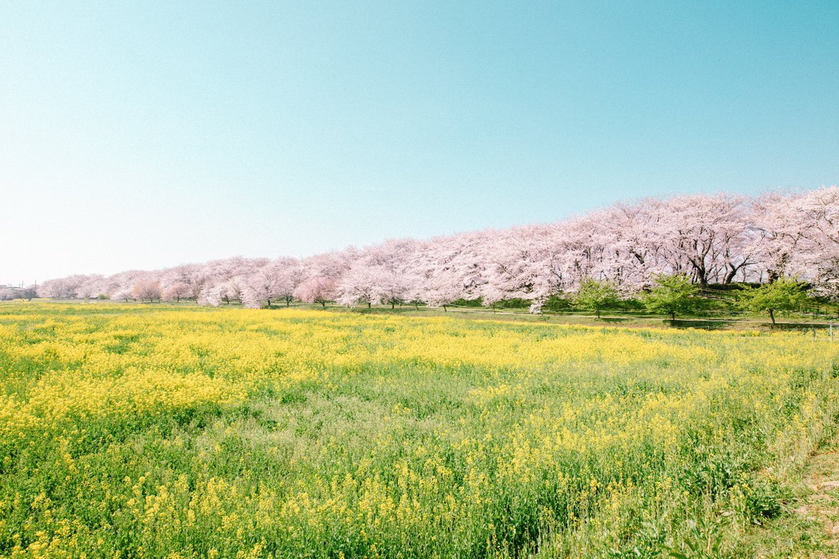 NaotoTAKAHASH11's tweet photo. Seasons https://t.co/49Vvkp2cqp