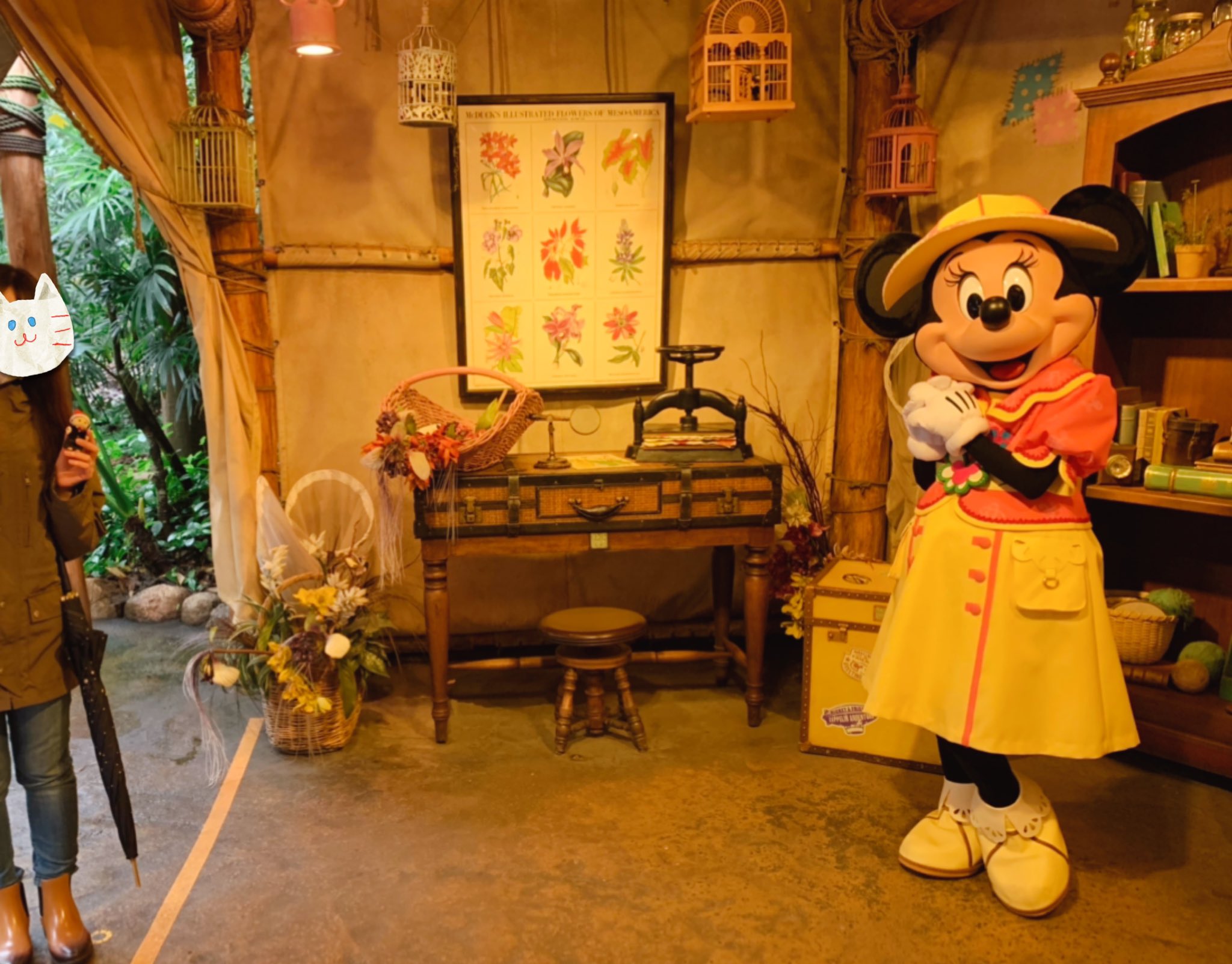 ぱんぷるれもん キャラクターグリーティング制覇 ぜんぶにマスター写したった 小さいけど キャラクターみんな 写真撮る前にジェスチャーで その子かわいいね って言ってくれる ソーシャルディスタンス ディズニーシー シルバニアファミリー