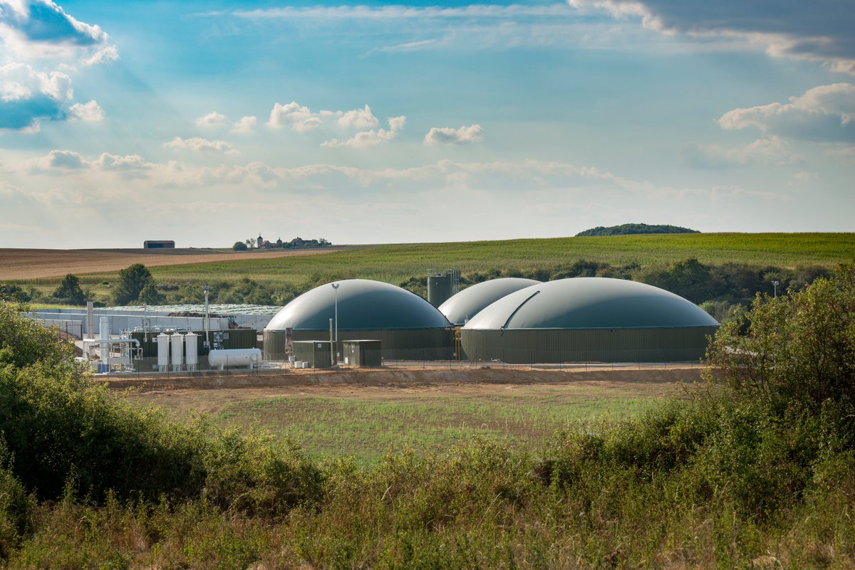 #Replay du #webinaire #GRDF et <a href="/Solagro_asso/">Solagro</a>, autour du nouveau cadre réglementaire du financement des projets d’injection en #méthanisation et des leviers d’optimisation favorisant la rentabilité des nouveaux projets. 
▶️ cutt.ly/OTYejpc
#GazVert #Agriculture #Energie