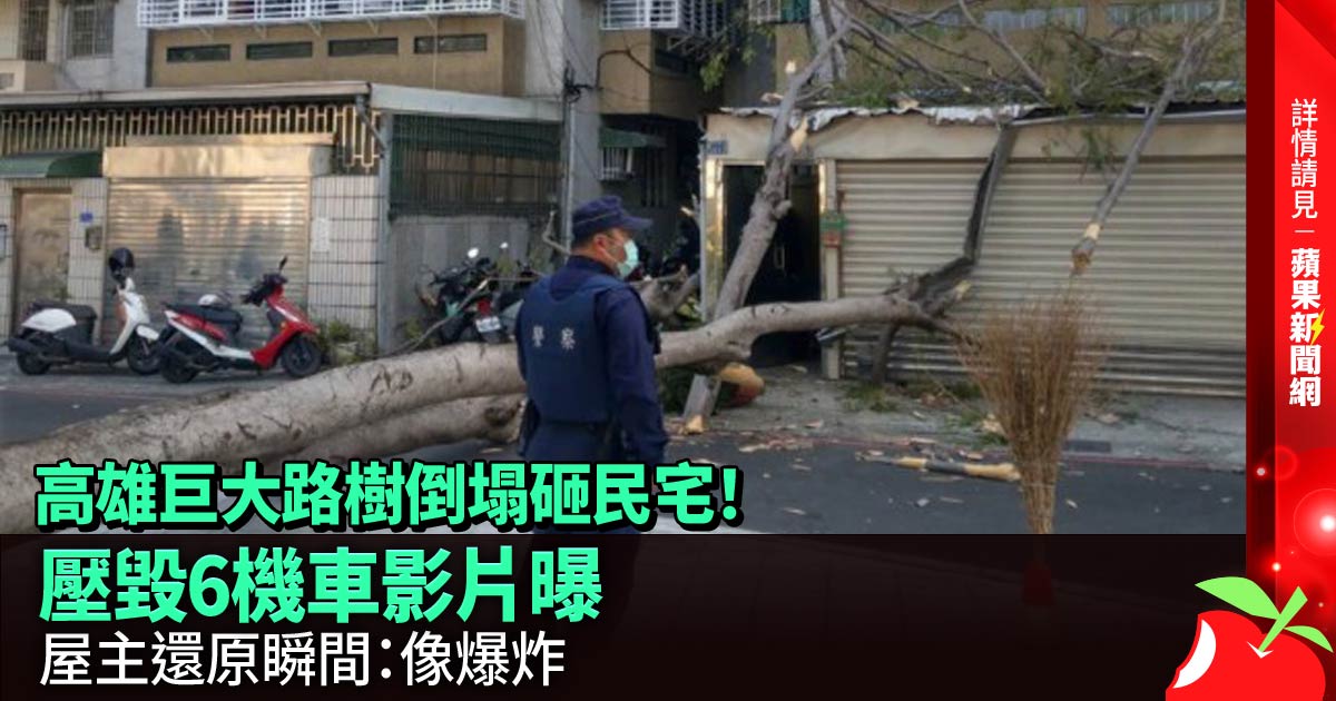 高雄巨大路樹倒塌砸民宅！壓毀6機車影片曝 屋主還原瞬間：像爆炸 →→https://t.co/CD7p8B1vnz